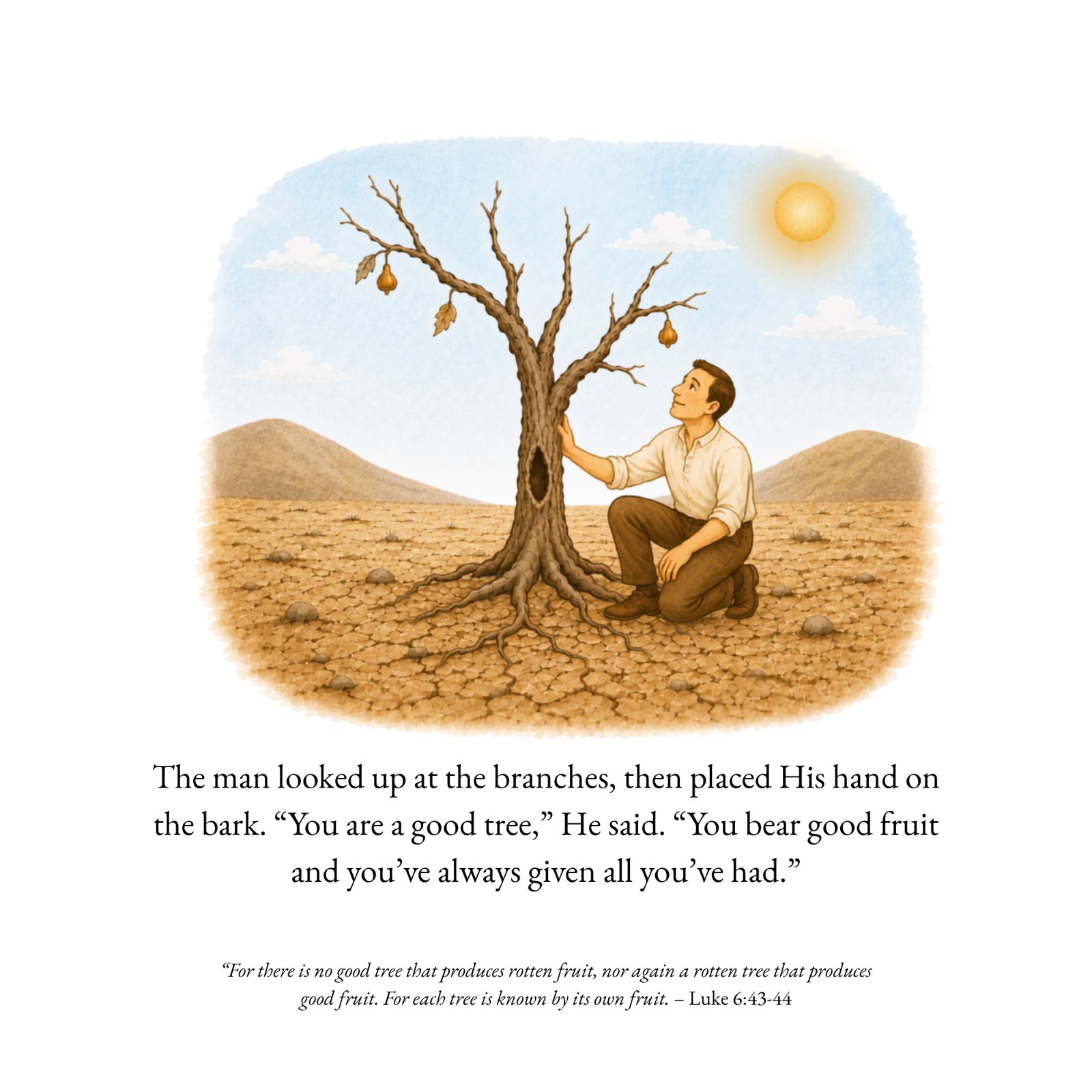 Illustrated page from The Abiding Tree, the good tree: “You are a good tree,” He said. “You bear good fruit, and you’ve always given all you’ve had.”
